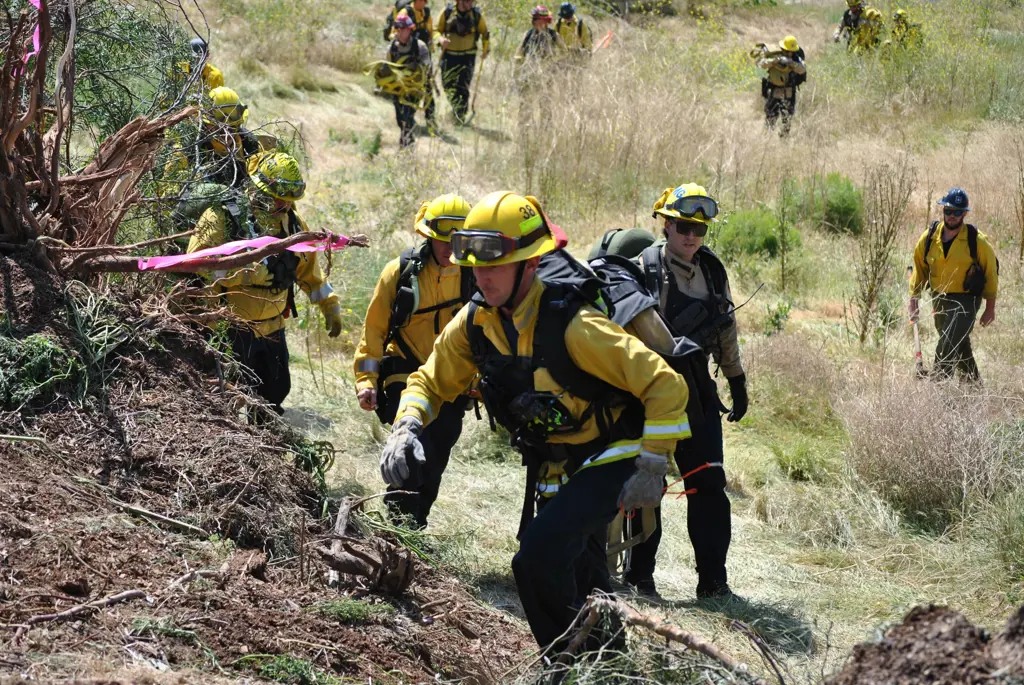 Fire Department Lemon Grove